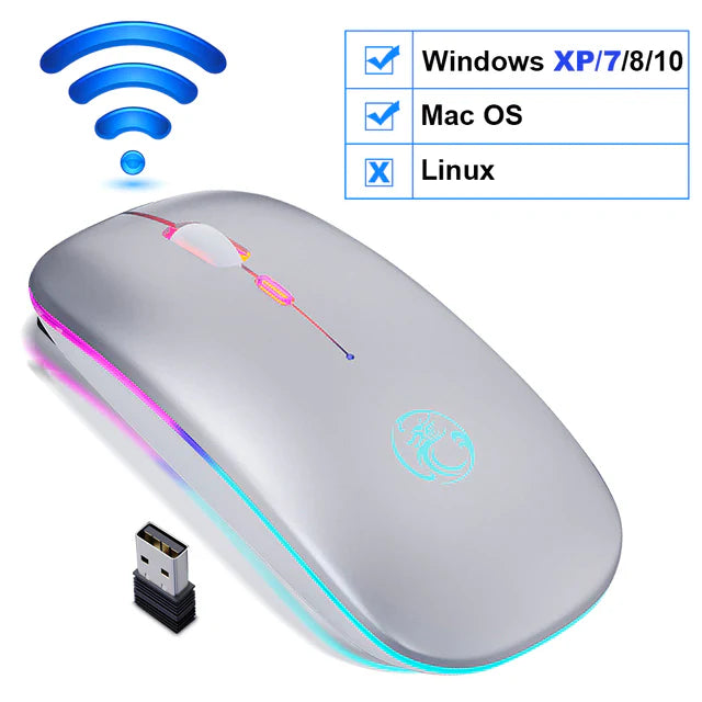 Souris avec LED sans fil